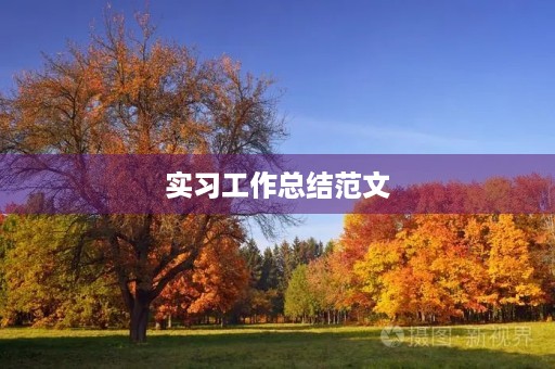 实习工作总结范文 实习工作总结范文