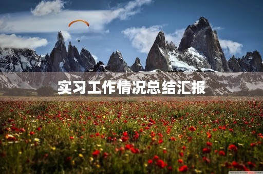 实习工作情况总结汇报
