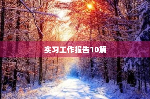 实习工作报告10篇 实习工作报告10篇