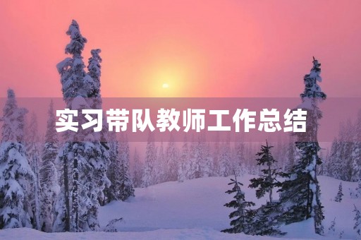 实习带队教师工作总结 实习带队教师工作总结