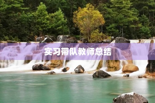 实习带队教师总结 实习带队教师总结