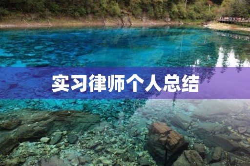 实习律师个人总结