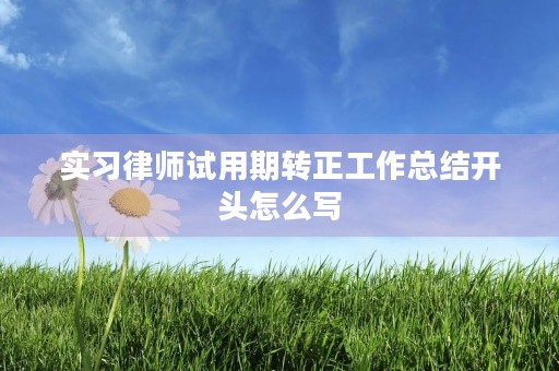 实习律师试用期转正工作总结开头怎么写