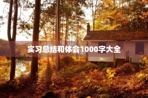 实习总结和体会1000字大全 实习总结和体会1000字大全