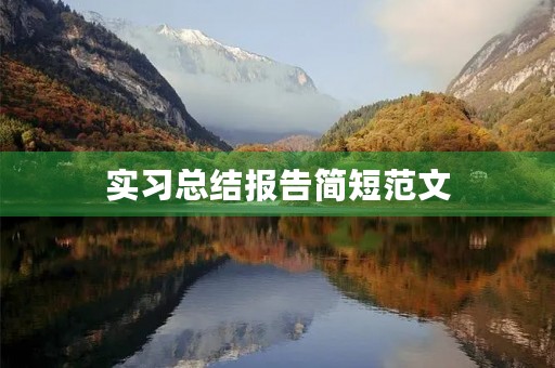 实习总结报告简短范文