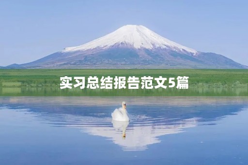实习总结报告范文5篇 实习总结报告范文5篇