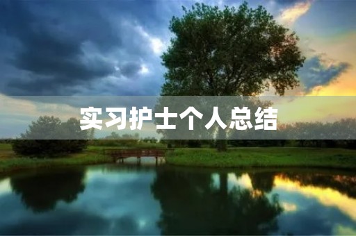 实习护士个人总结