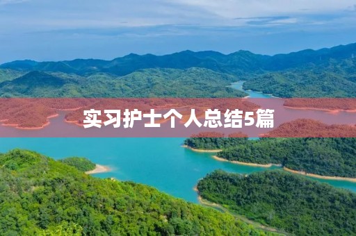 实习护士个人总结5篇