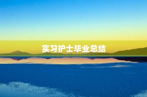 实习护士毕业总结