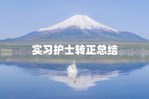 实习护士转正总结