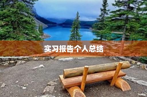 实习报告个人总结 实习报告个人总结