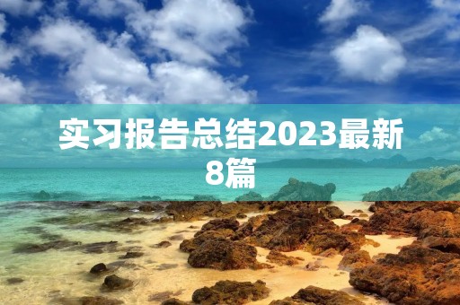 实习报告总结2023最新8篇
