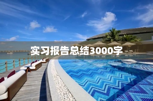 实习报告总结3000字
