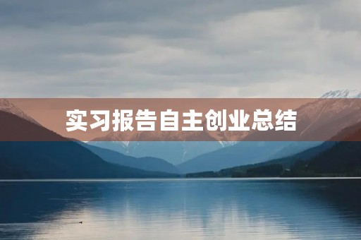 实习报告自主创业总结 实习报告自主创业总结