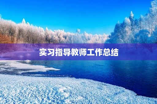实习指导教师工作总结