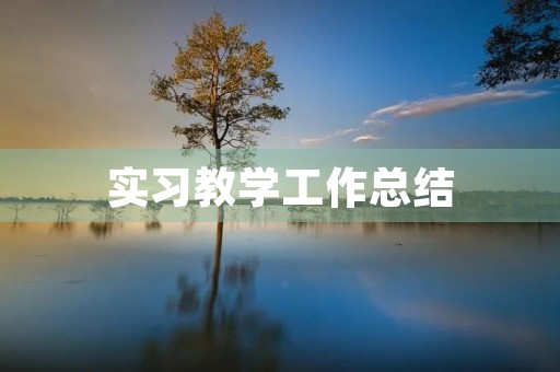 实习教学工作总结 实习教学工作总结