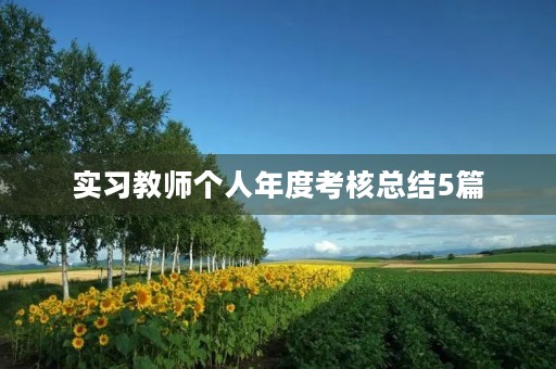 实习教师个人年度考核总结5篇