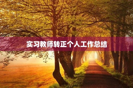 实习教师转正个人工作总结