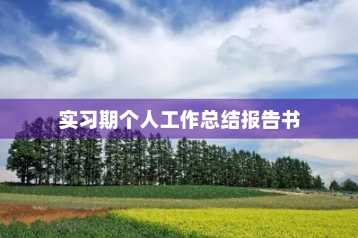 实习期个人工作总结报告书 实习期个人工作总结报告书