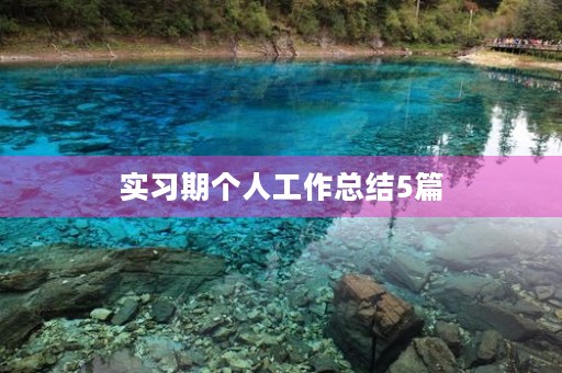实习期个人工作总结5篇 实习期个人工作总结5篇