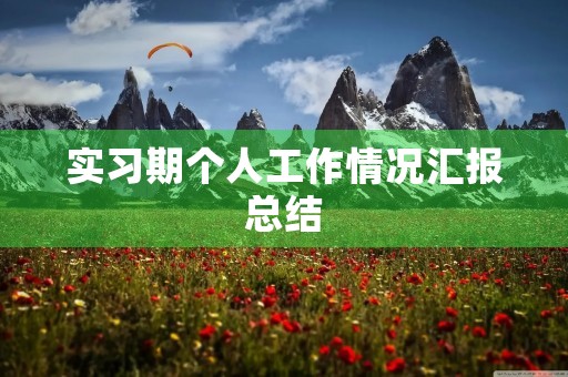 实习期个人工作情况汇报总结