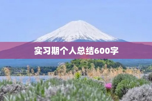 实习期个人总结600字【五篇】