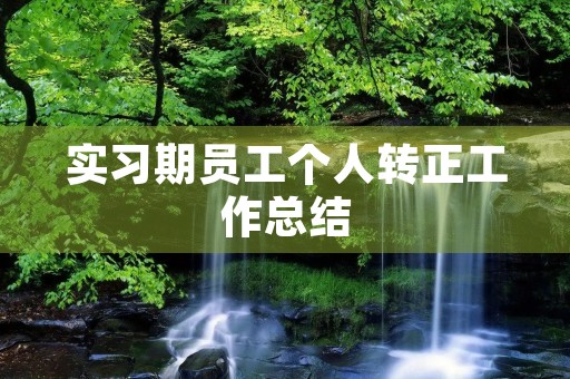 实习期员工个人转正工作总结