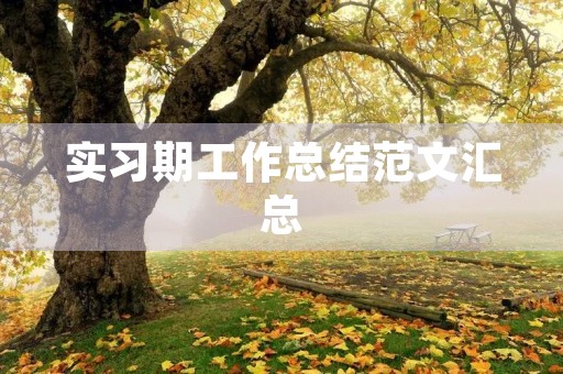 实习期工作总结范文汇总
