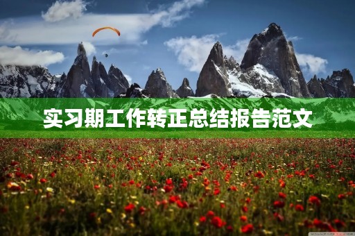 实习期工作转正总结报告范文