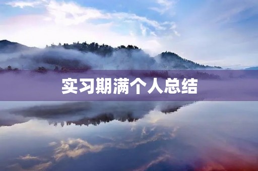 实习期满个人总结