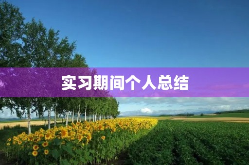 实习期间个人总结 实习期间个人总结