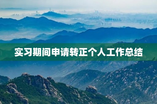 实习期间申请转正个人工作总结