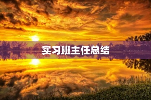 实习班主任总结 实习班主任总结