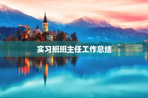 实习班班主任工作总结