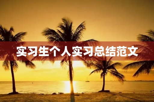 实习生个人实习总结范文