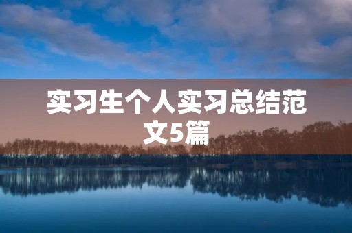 实习生个人实习总结范文5篇