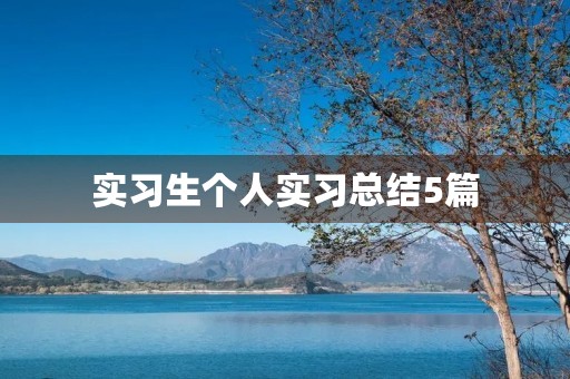 实习生个人实习总结5篇