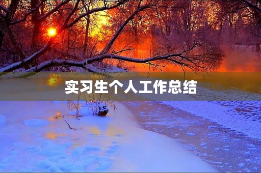 实习生个人工作总结