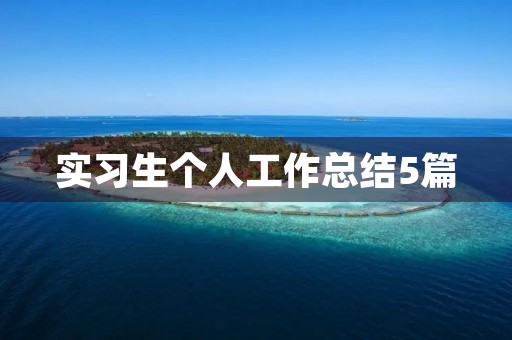 实习生个人工作总结5篇