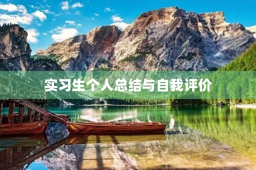 实习生个人总结与自我评价