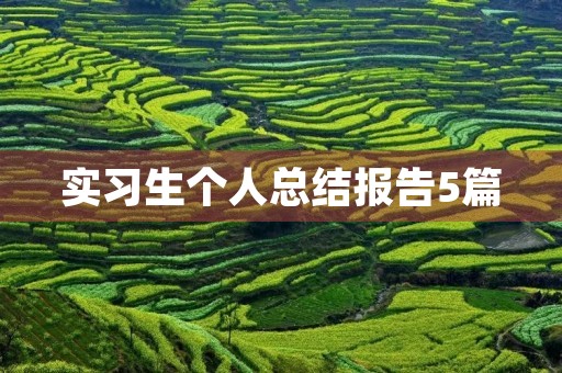 实习生个人总结报告5篇