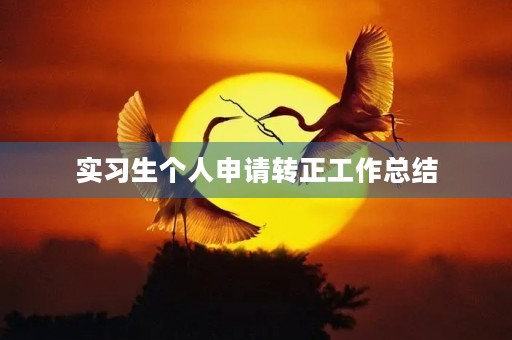 实习生个人申请转正工作总结