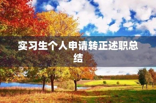 实习生个人申请转正述职总结