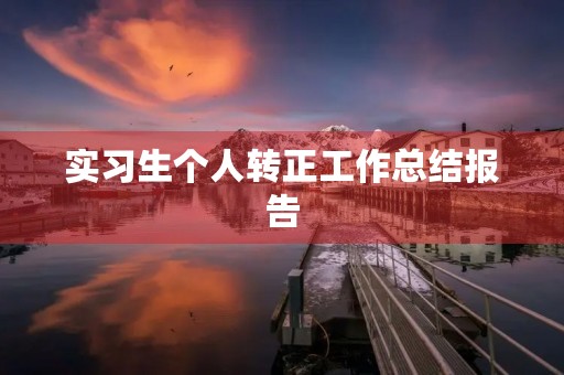 实习生个人转正工作总结报告