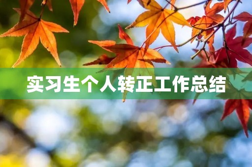 实习生个人转正工作总结