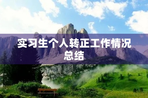 实习生个人转正工作情况总结