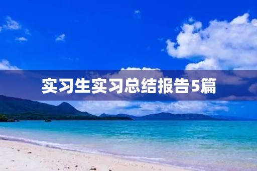 实习生实习总结报告5篇