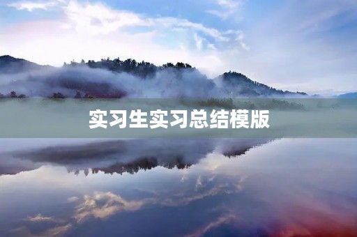 实习生实习总结模版