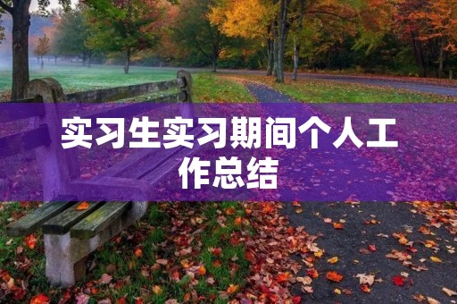 实习生实习期间个人工作总结