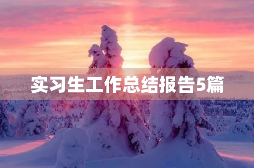 实习生工作总结报告5篇